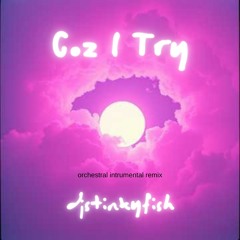 Coz I Try (orchestral instrumental remix)