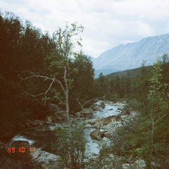 Skogen 2024 - Into The Wild