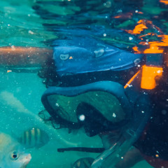 VIP (Music Video In Description)