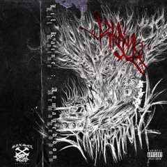 Lil Kaine - Can You Feel It