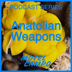 Motel Campo Podcast 013 - Anatolian Weapons