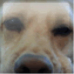 Stream Xbox 360 Dog Music Listen To Songs Albums Playlists For Free On Soundcloud Stream Xbox 360 Dog Music Listen To Songs Albums Playlists For Free On Soundcloud