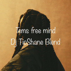 DjTioShane Tems Free Mind Mashup