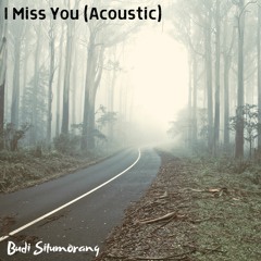 I Miss You (Blink 182 Acoustic Cover)