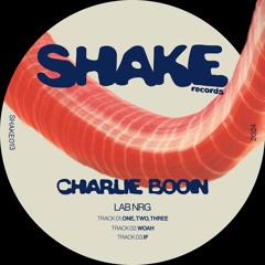 Charlie Boon - Shake Records E.P