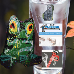 the plumber arrives and saves the day