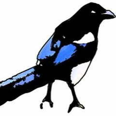 Crows Niels