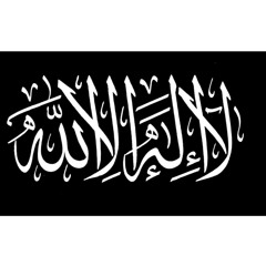 سورة فصلت - ناصر القطامى