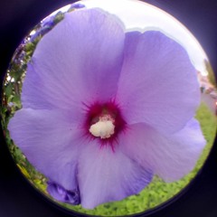 Hit That Beat (Free DL)