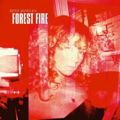 Forest Fire