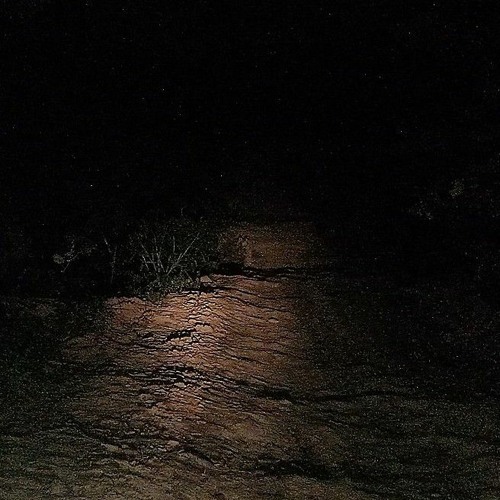 alone