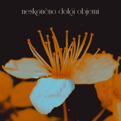 Neskoncno Dolgi Objemi