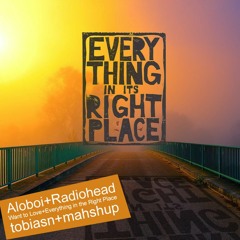 Radiohead - Everything In Its Right Place vs Aloboi - Want To Love - tobiasn mashup