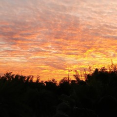 Ocaso
