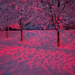 Pink Ice Winter Mix (Vex Remix)