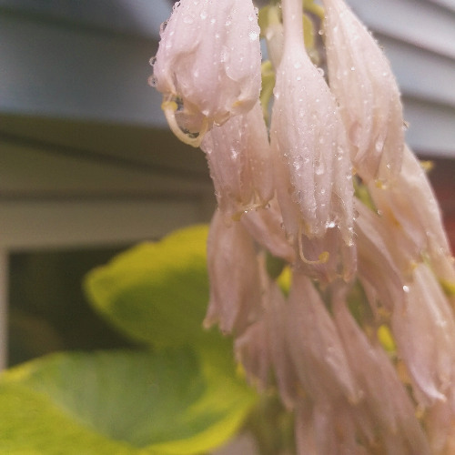 Don't Forget To Remember to Forget This, My Friend