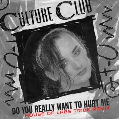 Culture Club - Do You Really Want To Hurt Me (House of Labs Tribe Mix)
