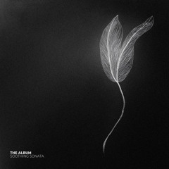 Norse Celtic Pagan - 10