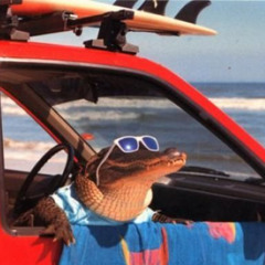 space miami speedrun