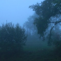 Brain Fog