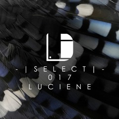 Drone Select 017 /// Luciene
