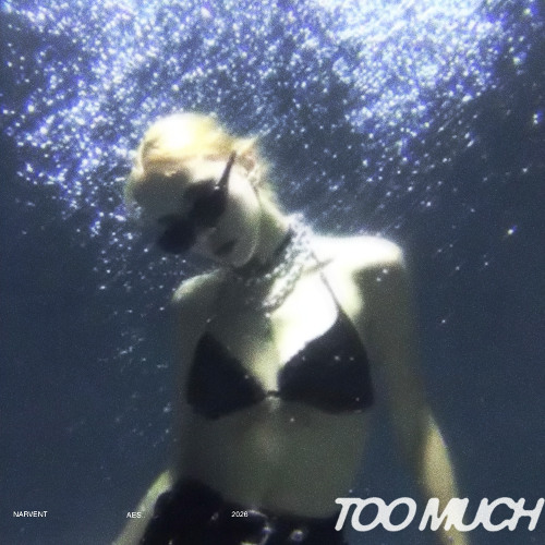 Narvent, aes.. - Too Much