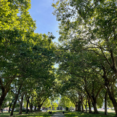 Easy On Me by Adele (Cover)