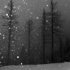 where the moon meets the sky