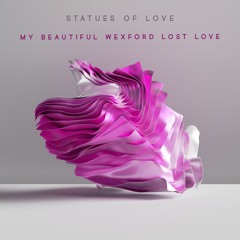 My Beautiful Wexford Lost Love (Radio Edit)