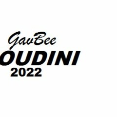 Gav Bee - Houdini (prod. 1verell)