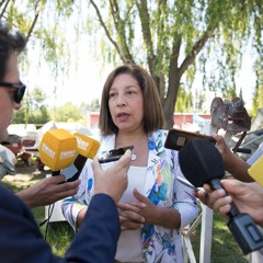 La Gobernadora Carreras se refirió a la detención en la causa de Cuesta del Ternero