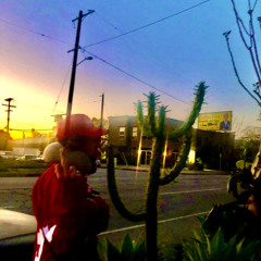 🦄PILLOWHEAD - PEGASUS🦄