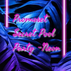 Promoset Secret Pool Party