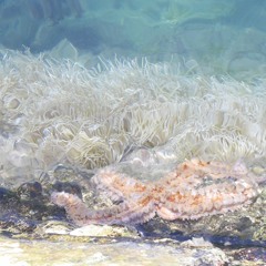 the extension warrior