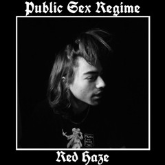 Public Sex Regime 001 - Red Haze