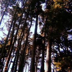 Logos -  King Krule [COVER]