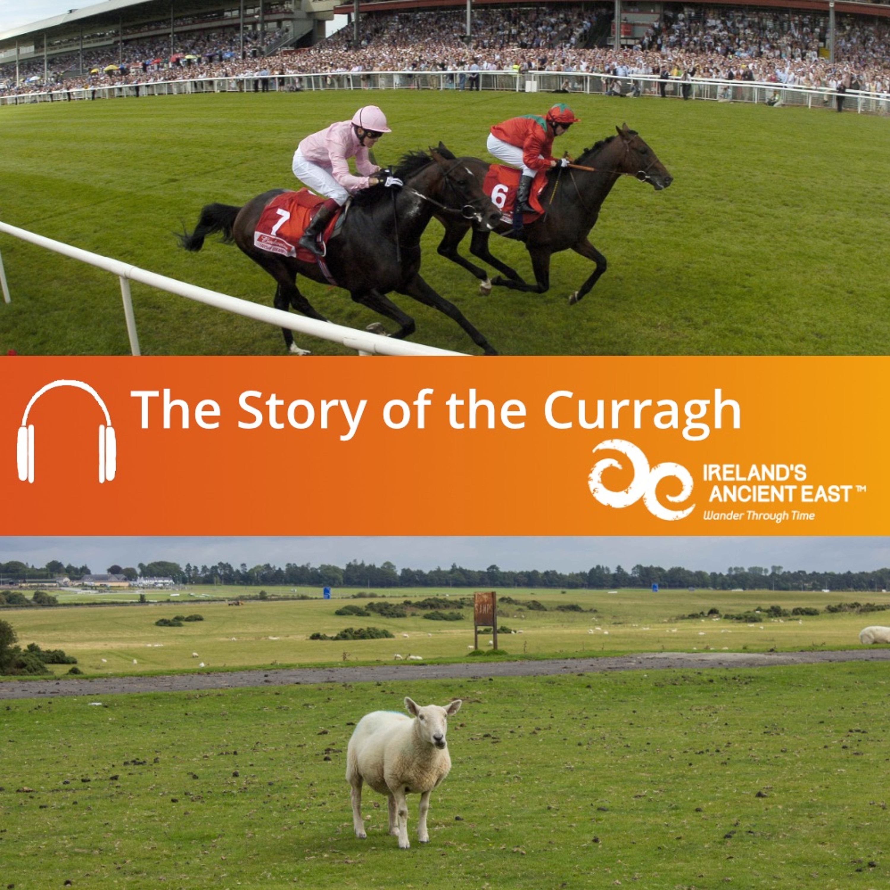 The Curragh Of Kildare Audiobook episode artwork