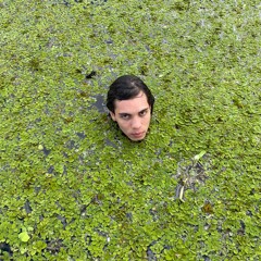 Nothing's fixed me like this has