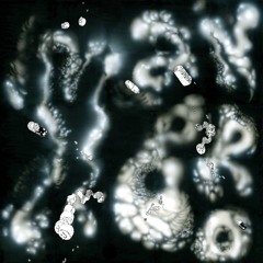 C2 - Man Bro - Genesis