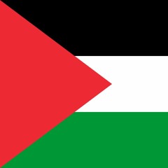 free Palestine pt 2