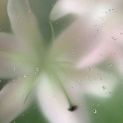 cn- destroydestroydestroy ##9cc