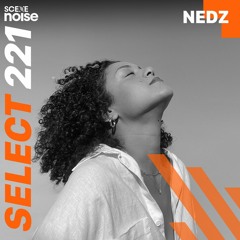 Select 221: Mixed by NEDZ