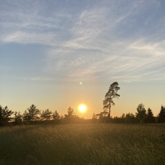 meelelohutus (snippet)