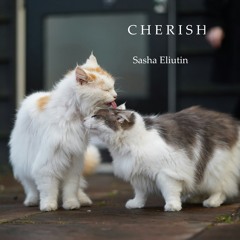 Cherish