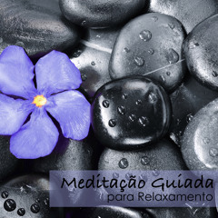 Como Fazer Meditação - Musicas Instrumentais para Dormir