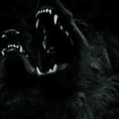 dogyears [minitape prt.2]