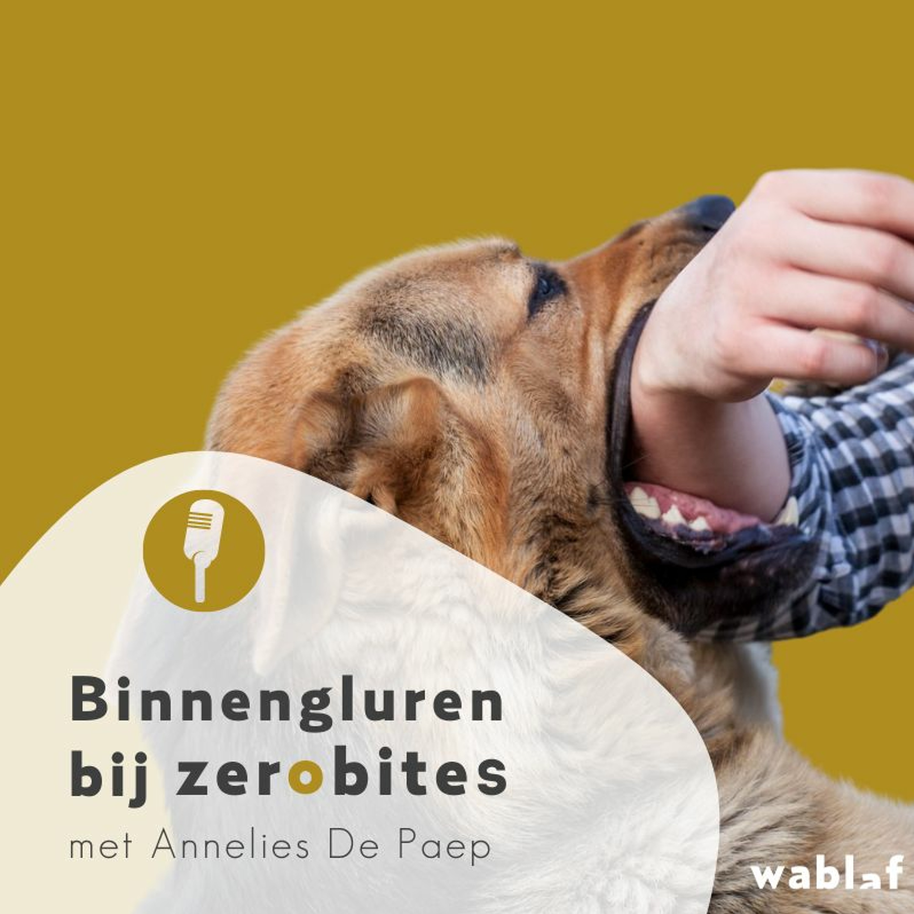 Bewuste Hondenmoeders