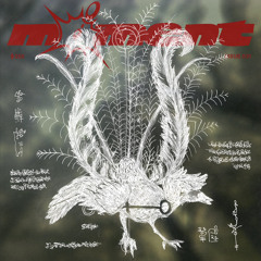 scripts to Earth / hymns to Sky, a .cutspace moment (OUT NOW)