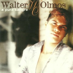 Amor De Adolescentes (Adelanto Instrumental Remix) Walter Olmos