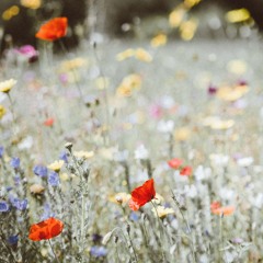 Sunshine After The Rain (Extended Version)